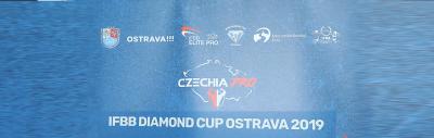 2019 Ostrava Diamond cup