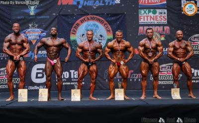 Men's Bodybuilding over 90 kg